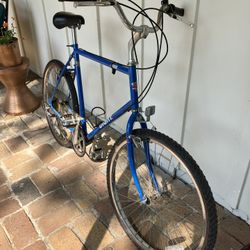 Giant Chinook Hybrid/City Bike
