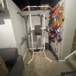 Pull-up/Dip Bar