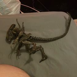 Neca Brown Xenomorph Drone 