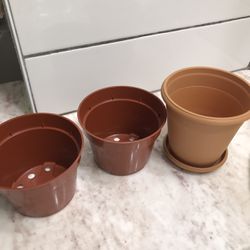 Plant Pots 