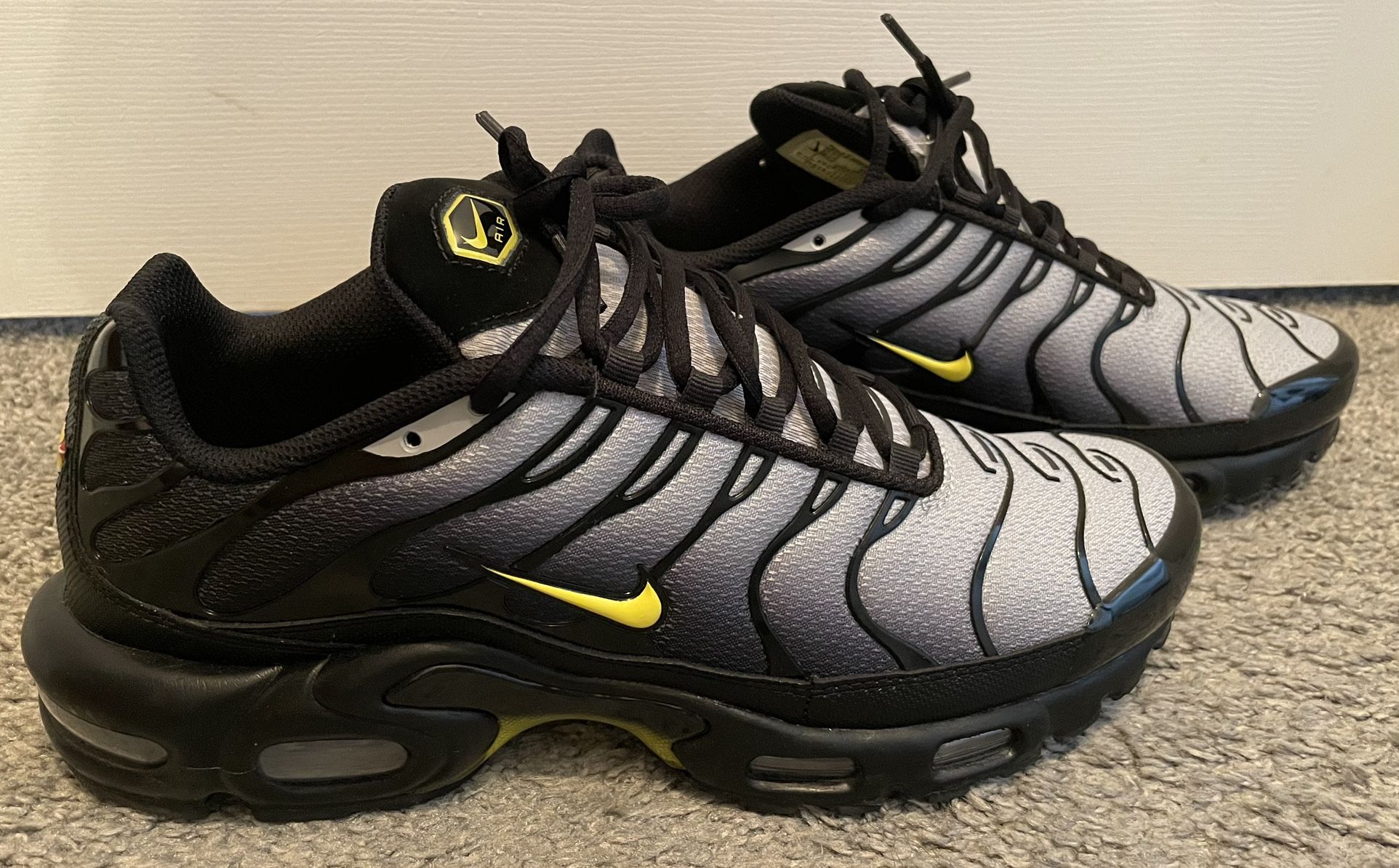Nike Air Max Plus Men's Shoes (size 10)