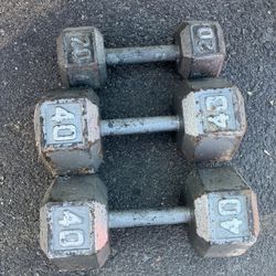 100 Lbs Of Dumbbells Weighs. 