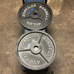 45lbs Olympic Weight Plates