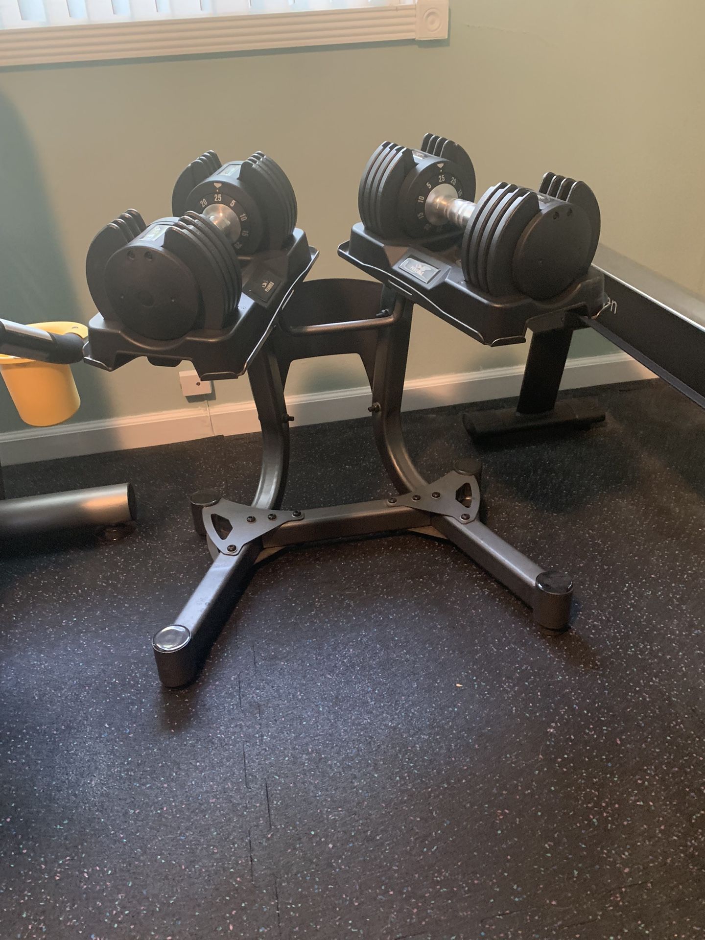 Dumbbell Set With Stand.