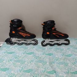 Roller Blades 