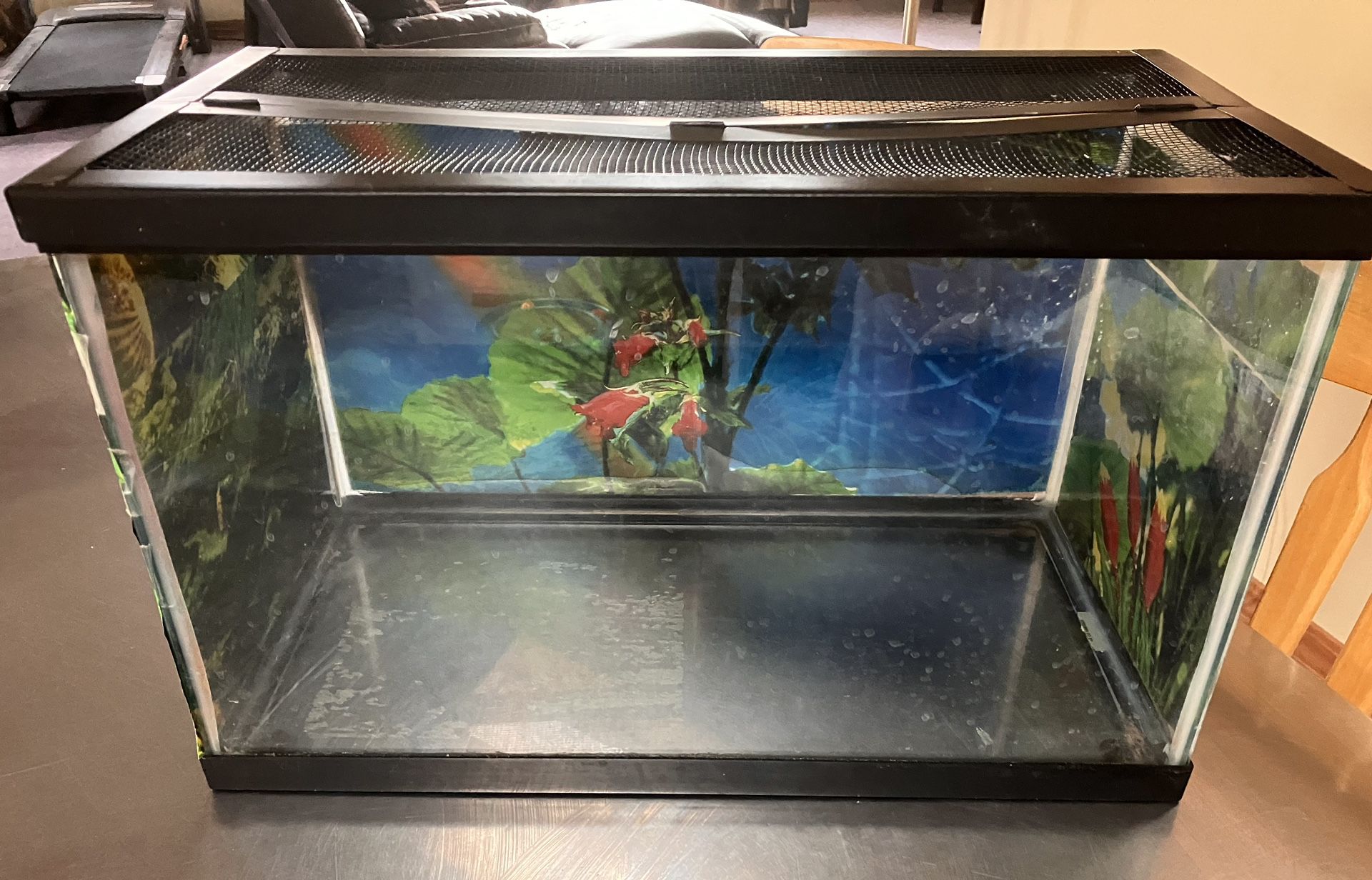 10 Gallon Terrarium or Fish  tank