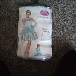 . CLASSIC  CINDERELLA  COSTUME 