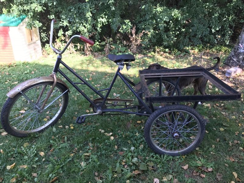 Heavy Duty Trike (Motor Mountable)