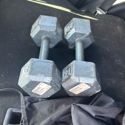 20 Pound Dumbbells
