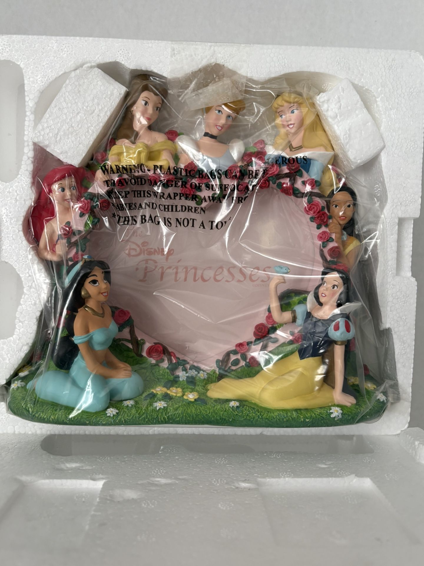 Disney Princess photo frame - NEW