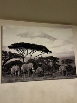 Elephants Wall Decor