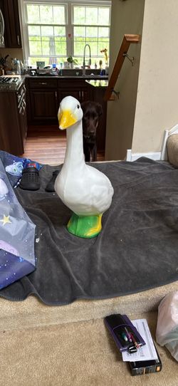Porch Goose W/1 Outfit