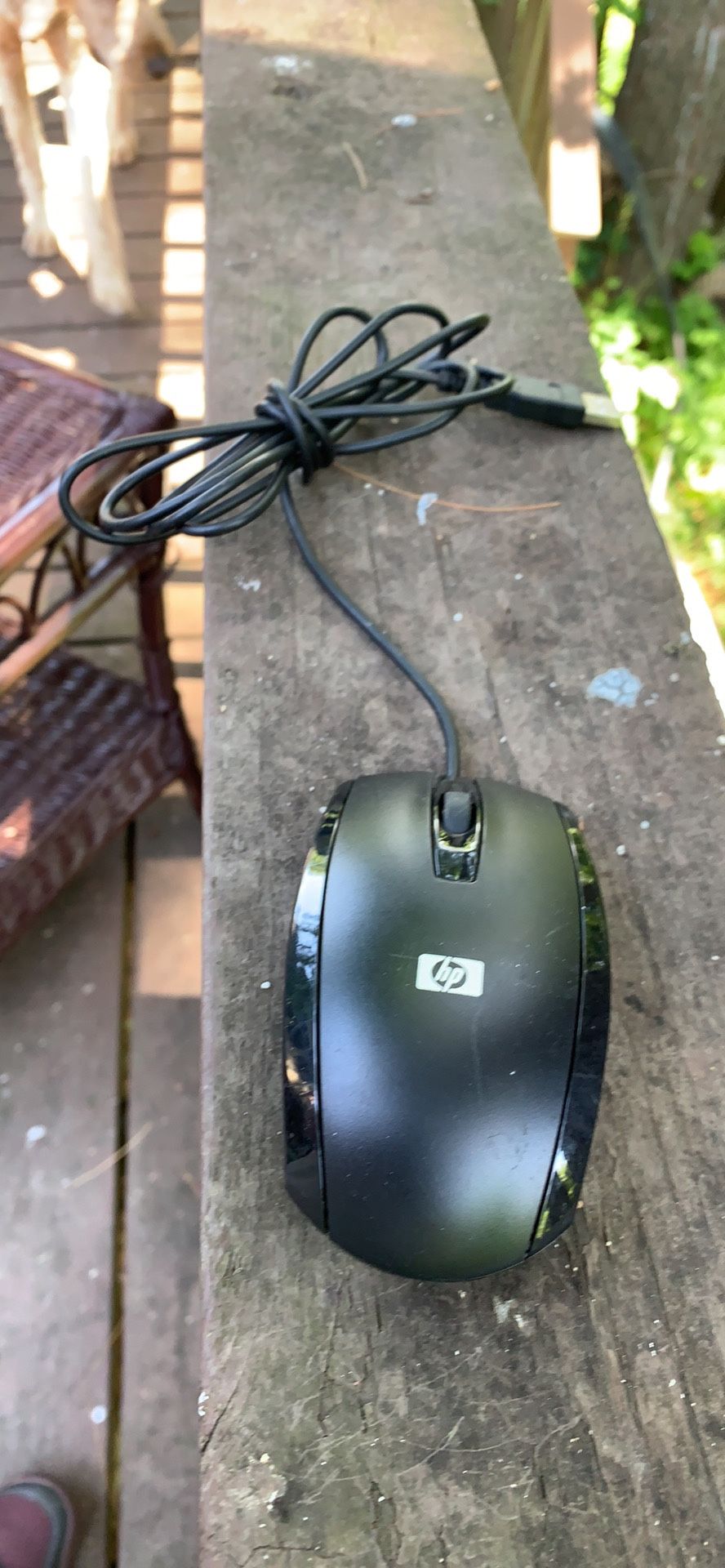 Computer mouse usb plug