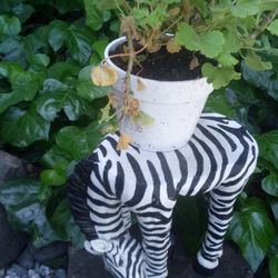 Zebra Plant Stand 