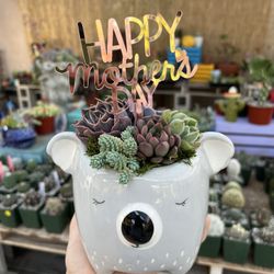 Cute Succulent Mother’s Day Arrangement 