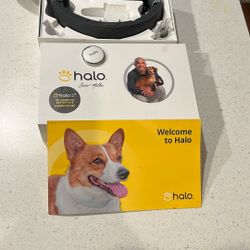 Halo 2+ Collar -NEW