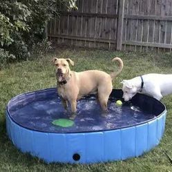 New In Box 60x11 Inch Tall Outdoor Patio Dog Pet Kids Swimming Pool Bathing Tub Collapsible 