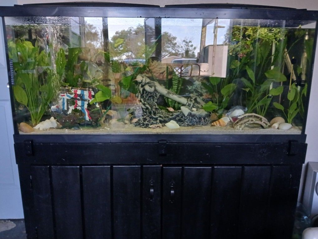 Aquariums And Pet Supplies