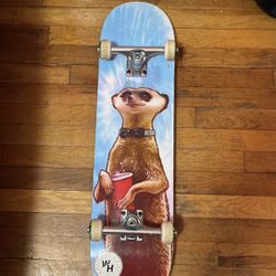 8.0 Skateboard New 