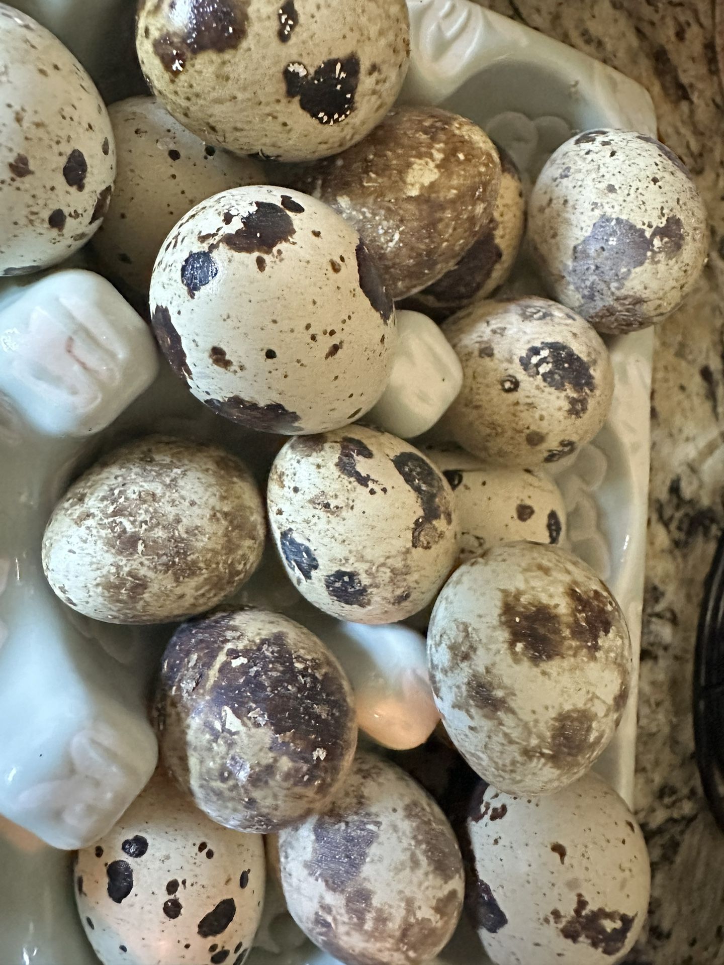 Quail Eggs