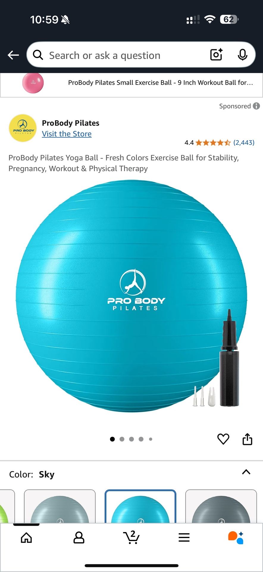 New ProBody Pilates Yoga Ball Toxic Free Sky Blue with Pump Exercise Ball 48-55cm