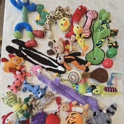 Dog Toys for small dogs (33)
$ 2.75 each or $85 for all

PICKUP ONLY
Cheyenne & 215