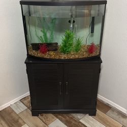 Fish Tank