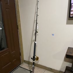 Penn Ally Fishing Pole