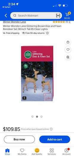 Christmas outdoor decoration