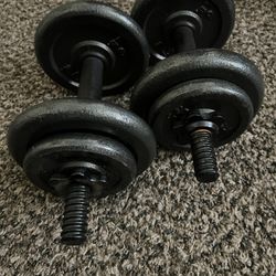 Adjustable Dumbbells 17lbs 