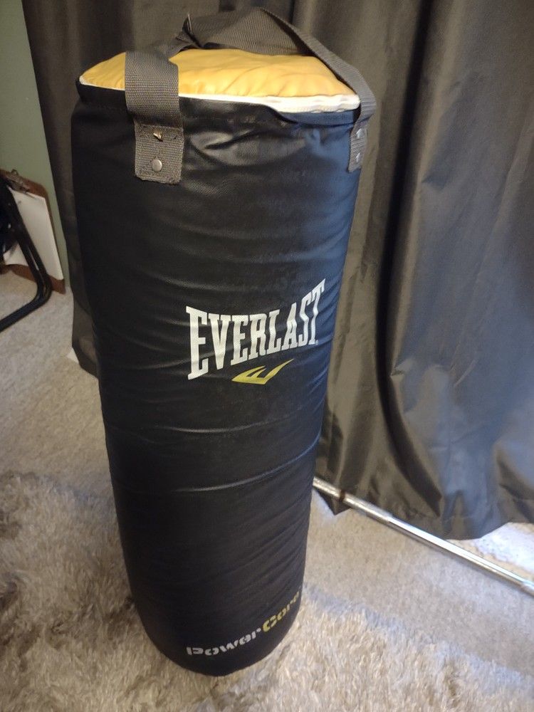 80lb Punching Bag