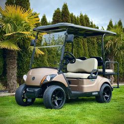 2019 🔋 YAMAHA Drive 2  Golf Cart ⛳️