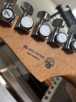 Fender Strat Player Plus