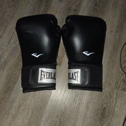 Everlasting Boxing Gloves 16Oz