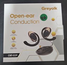 Ai Translating Ear Buds 