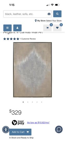 Argent II Canvas Wall Art