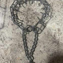 Dog Collar 