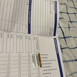 Bëlgiǎn mälinöis