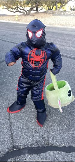 Spiderman costume