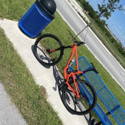 Santa Cruz Hightower