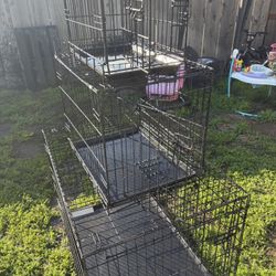 Dog Kennels 