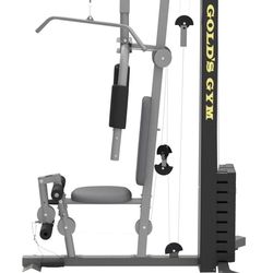 Golds home gym