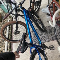 Mountain Bike 
