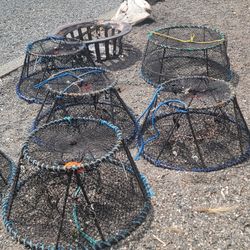 Ladner Shrimp Pot 