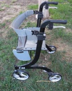 Adult walker and wheel chair