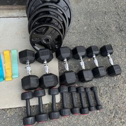 Full Gym Set