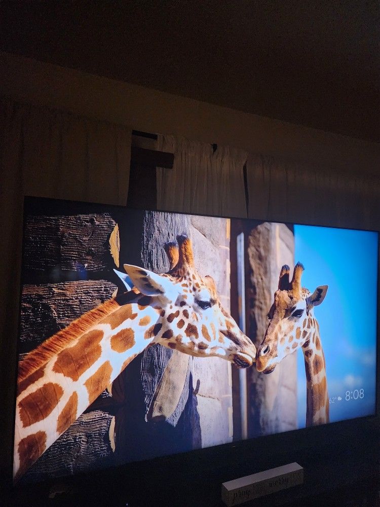 Sony Bravia VH2 65in