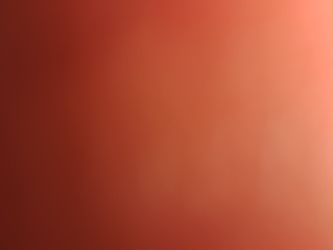 Women's Pants Shorts Shirts And Sweaters 