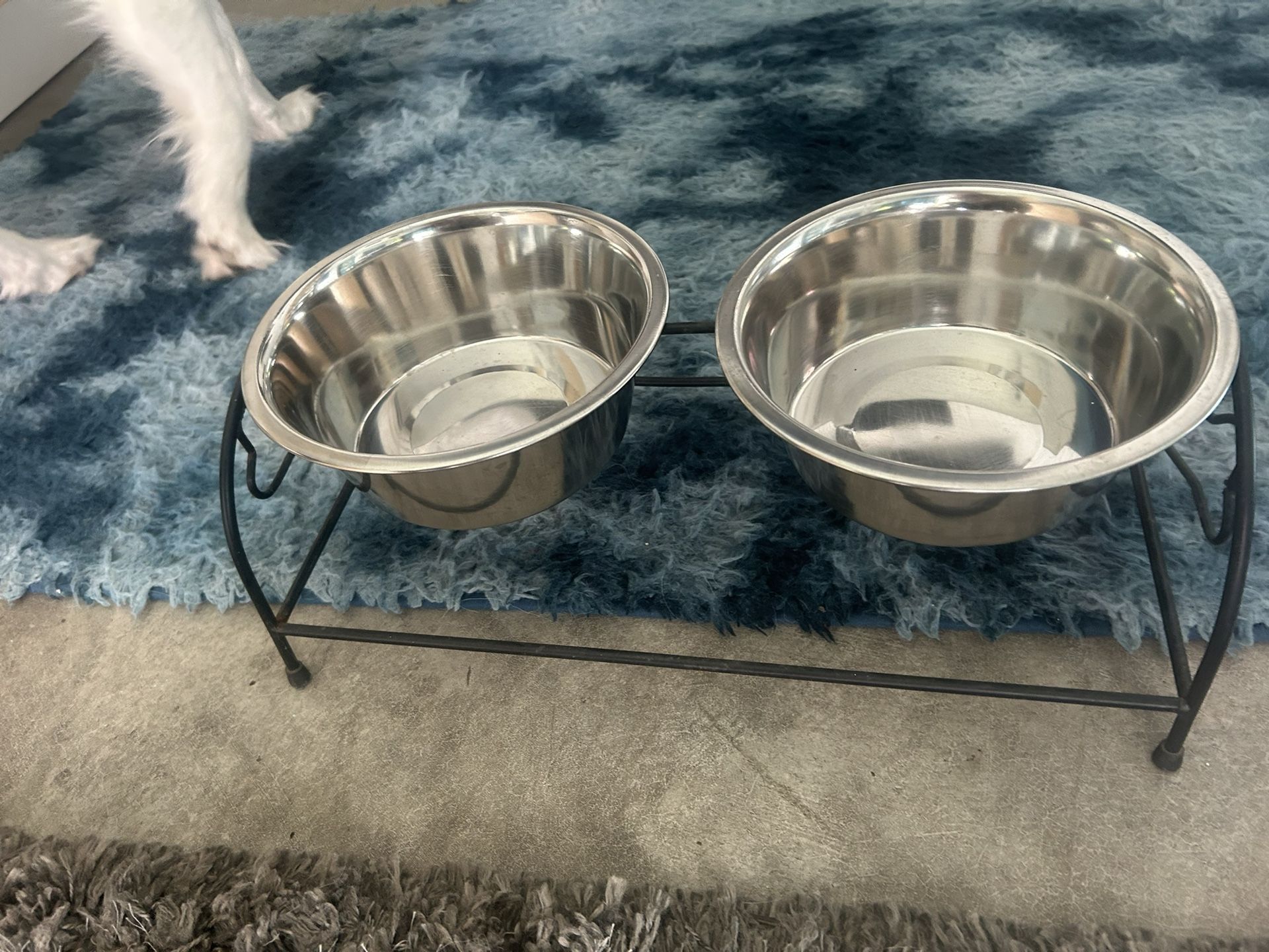 Dog Bowls