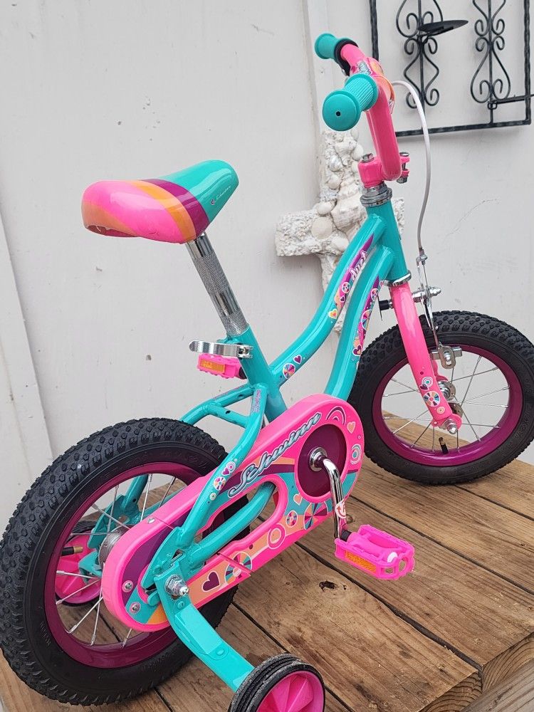 Schwinn duet hotsell
